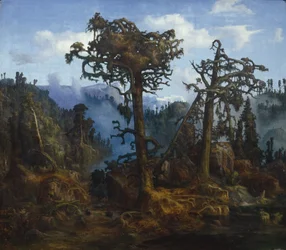 Viejos Pinos