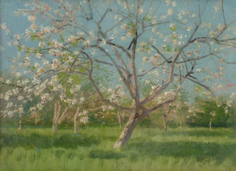 Árboles frutales en flor, 1900-10