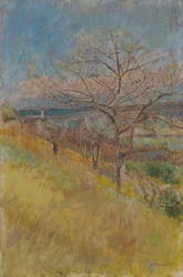 Valle con árboles en flor, 1890-1900