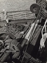 Fotoreportero en el Mar Ártico Norte