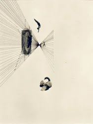 Leda y el cisne