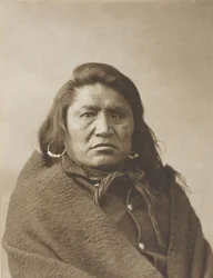 Toro sordo, c. 1880