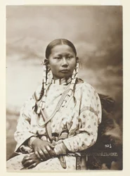 Venado moteado, novia cheyenne, 1879