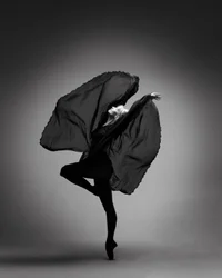 Elegante ballet negro