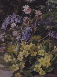 Estudio de Flores