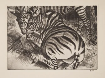 Cebras, pub. 1930