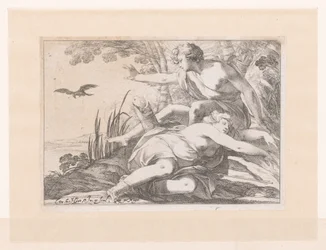 Apolo en Coronis