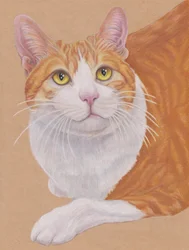 Dax, c.2024 (lápiz de color sobre papel de color canela)