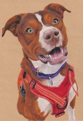 Penny, c.2024 (lápiz de color sobre papel de color canela)