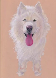 Snowky, 2021 (lápiz de color sobre papel entonado)