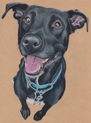 Tango, c.2024 (lápiz de color sobre papel de color canela)