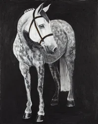 Caballo blanco 2, c.2024 (acrílico sobre lienzo)