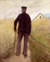 Viejo caminando en un campo de centeno