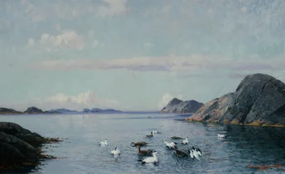 Costa sur con aves marinas