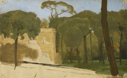 Pinos en un parque romano