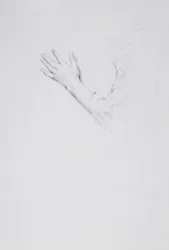 Estudio de una Mano y Brazo Izquierdos, c.1901
