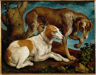 Deux chiens de chasse lies a une souche - Dos perros de caza atados a un tocón de árbol ...