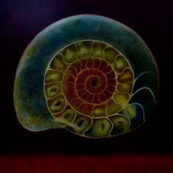 Amonita verde