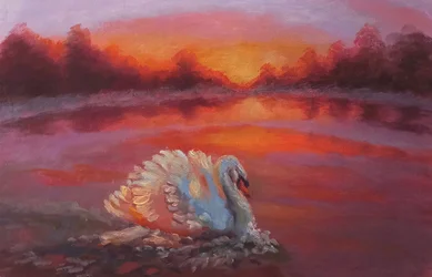 Adelante, Natación Cisne, 2024