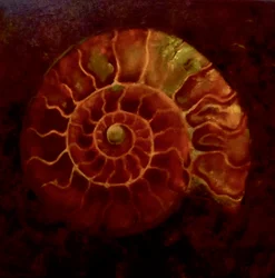 Amonita roja/dorada