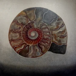Amonita plateada, 2024 (óleo sobre lienzo)