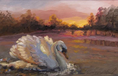 Cisne al amanecer, 2016