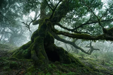 Tierra olvidada, 2025 (foto)