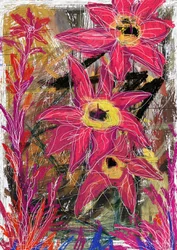 Flores de un rosa intenso