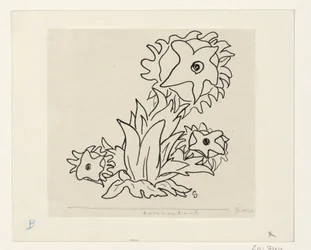 Flores