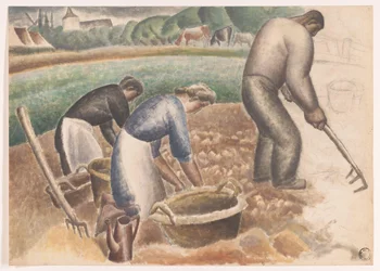 Cosechadoras de patatas en el campo