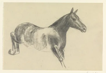 Caballo de carga