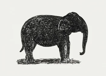 Elephant (aprox. 1891-1941)