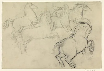 Caballos al galope