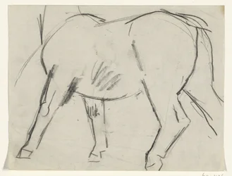 Cuerpo de un caballo