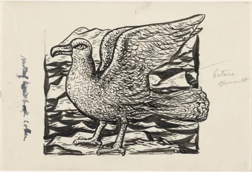 Gaviota