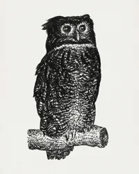 Búho