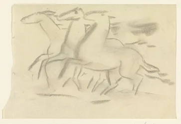 Caballos que corren