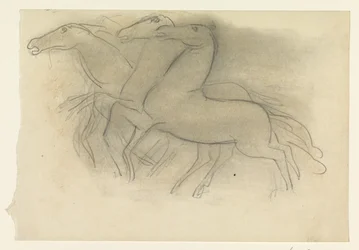 Caballos que corren