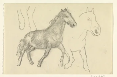 Dos caballos que corren