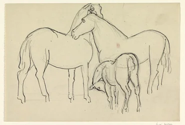 Dos caballos y un potro