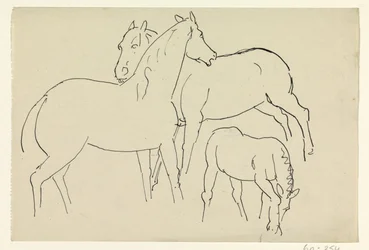 Dos caballos y un potro