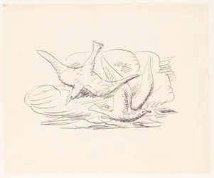 Dos gaviotas
