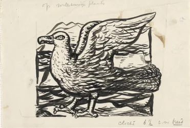 Gaviota