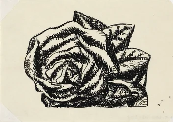 Sin título (rosa)
Viñeta para la biografía de Gestel por el Prof. W. van der Pluym