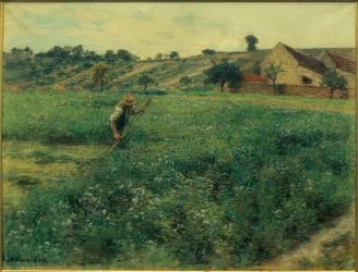 Segador en el campo de alfalfa
