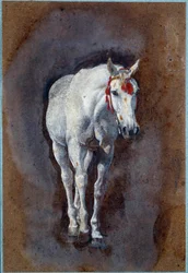 Un caballo (dibujo)
