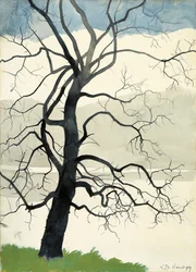 Árbol solitario al borde del estanque