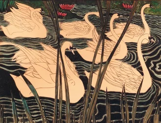 Cisnes, c. 1900