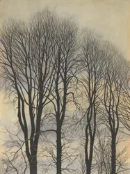 Árbol en el cielo