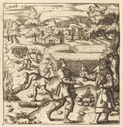 Parábola de la cizaña en el trigo